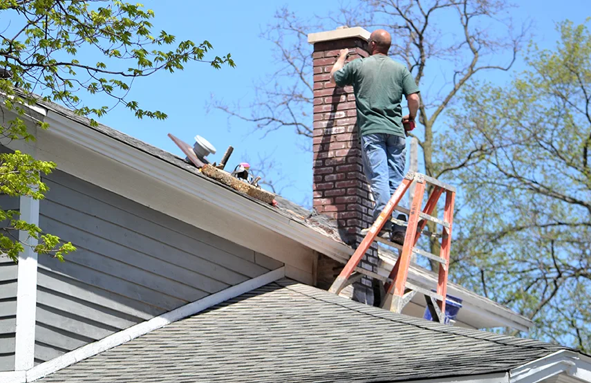 Chimney & Fireplace Inspections Services in Faribault, MN